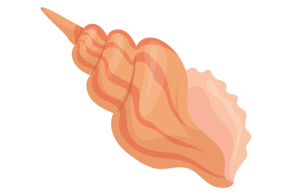 Cone Spiral Seashell Cartoon Icon: Graphics & Illustrations
