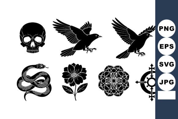 Of Vector Black Gothic Skull Bird Snake Graphics