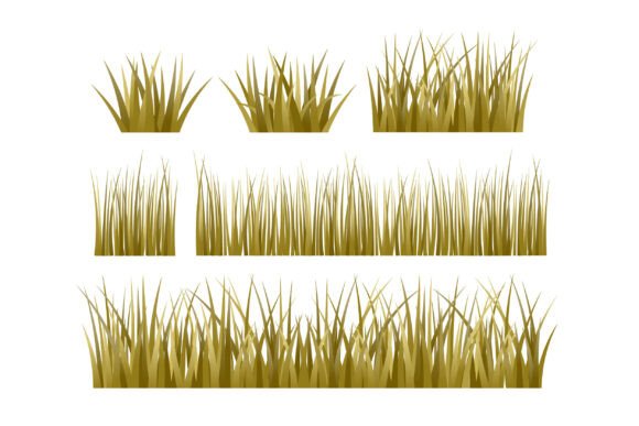 Realistic Dry Grass Vector Illustration