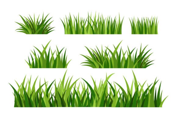 Realistic Dry Grass Vector Illustrations: Graphics & Illustrations for Handmade Crafters